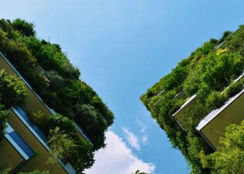 Construction durable: montée en puissance des bâtiments certifiés verts