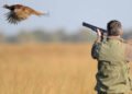 Début de la chasse au Maroc: ce qu’il faut savoir