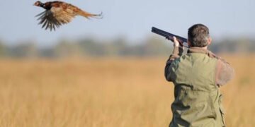 Début de la chasse au Maroc: ce qu’il faut savoir