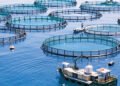 L’aquaculture au Maroc