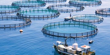 L’aquaculture au Maroc