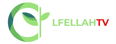 LFELLAH TV