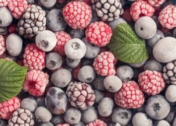 L’export de fruits et légumes au Canada en croissance constante