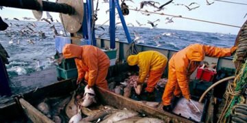 Lutte contre la pêche illégale, non déclarée et non réglementée (INN)
